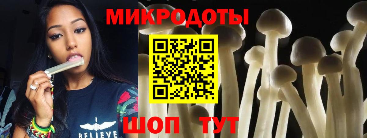 Галлюциногенные грибы GOLDEN TEACHER Надым